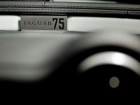 Jaguar XJ75 Platinum Concept (2010) - picture 11 of 21