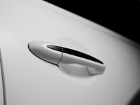 Jaguar XJ75 Platinum Concept (2010)