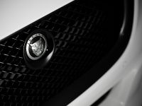 Jaguar XJ75 Platinum Concept (2010) - picture 18 of 21