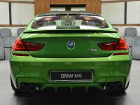 Java Green BMW M6 Gran Coupe (2014) - picture 11 of 18