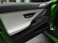 Java Green BMW M6 Gran Coupe (2014) - picture 18 of 18