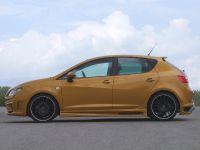 JE Design Seat Ibiza 6J Gold (2012) - picture 4 of 6