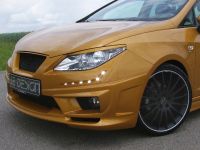 JE Design Seat Ibiza 6J Gold (2012) - picture 5 of 6
