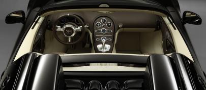 Jean Bugatti Veyron (2013) - picture 7 of 18
