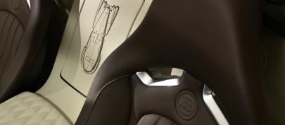 Jean Bugatti Veyron (2013) - picture 12 of 18
