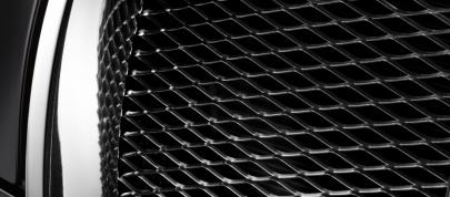 Jean Bugatti Veyron (2013) - picture 15 of 18