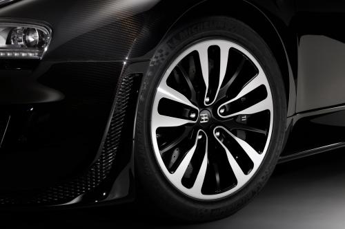 Jean Bugatti Veyron (2013) - picture 16 of 18