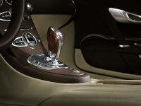 Jean Bugatti Veyron (2013) - picture 10 of 18