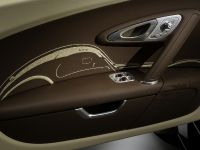 Jean Bugatti Veyron (2013) - picture 11 of 18
