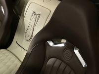 Jean Bugatti Veyron (2013)