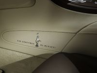 Jean Bugatti Veyron (2013) - picture 13 of 18
