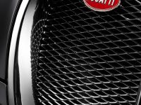 Jean Bugatti Veyron (2013)