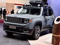 Jeep Renegade Paris (2014) - picture 3 of 9