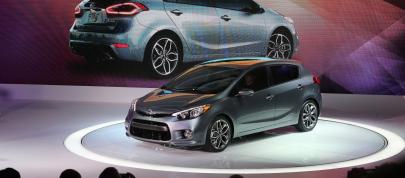 Kia Forte 5-Door Chicago (2013) - picture 4 of 4