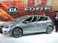 Kia Forte 5-Door Chicago (2013) - picture 2 of 4