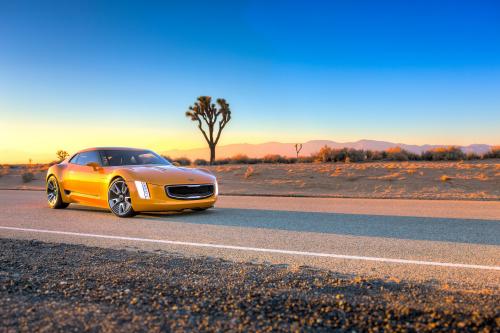 Kia GT4 Stinger Concept (2014) - picture 9 of 13