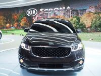 Kia Sedona New York (2014)