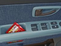 Kia Soul Antenna (2009)