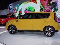 Kia Soul New York (2013) - picture 3 of 4