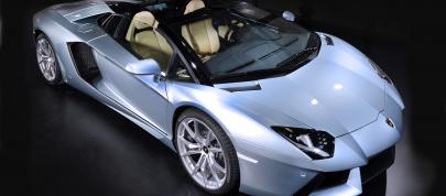Lamborghini Aventador LP 700-4 Roadster (2013) - picture 4 of 27