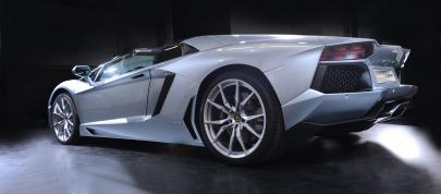 Lamborghini Aventador LP 700-4 Roadster (2013) - picture 12 of 27