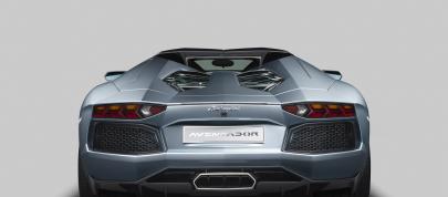 Lamborghini Aventador LP 700-4 Roadster (2013) - picture 15 of 27