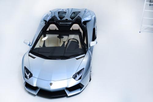 Lamborghini Aventador LP 700-4 Roadster (2013) - picture 17 of 27