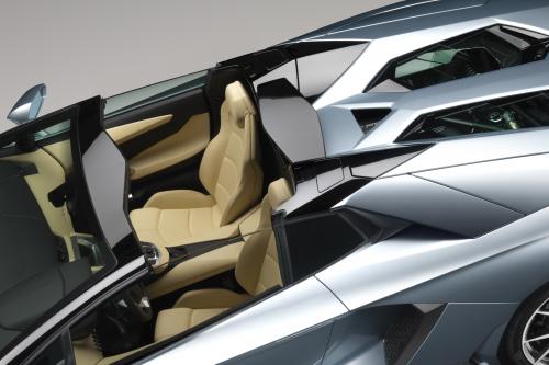 Lamborghini Aventador LP 700-4 Roadster (2013) - picture 24 of 27