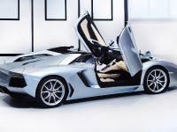 Lamborghini Aventador LP 700-4 Roadster (2013) - picture 10 of 27