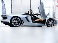 Lamborghini Aventador LP 700-4 Roadster (2013) - picture 11 of 27