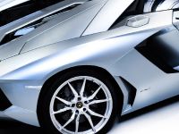 Lamborghini Aventador LP 700-4 Roadster (2013)