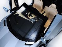 Lamborghini Aventador LP 700-4 Roadster (2013) - picture 26 of 27