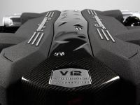 Lamborghini L539 Engine (2010) - picture 6 of 8