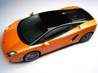 Lamborghini Gallardo LP 560-4 Bicolore (2011) - picture 1 of 10