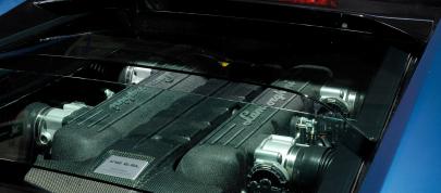 Lamborghini Murcielago Ad Personam (2009) - picture 15 of 15