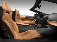 Lamborghini Murcielago LP 640 Ad Personam (2009) - picture 5 of 15