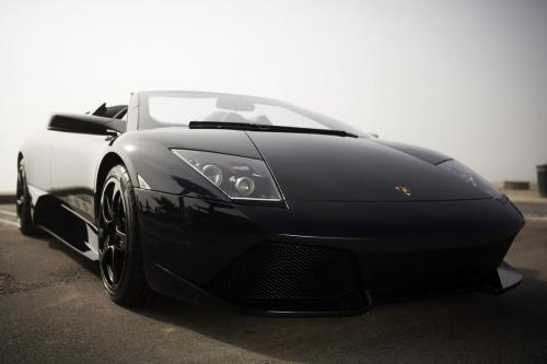 Lamborghini Murcielago LP640 Roadster Versace (2009) - picture 1 of 9