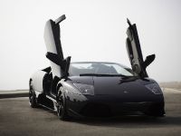 Lamborghini Murcielago LP640 Roadster Versace (2009) - picture 2 of 9