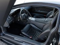 Lamborghini Murcielago Yeniceri Edition (2010)