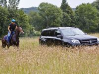 Larte Design Mercedes-Benz GL Black Crystal Movie (2014) - picture 3 of 9