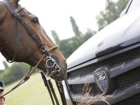 Larte Design Mercedes-Benz GL Black Crystal Movie (2014)