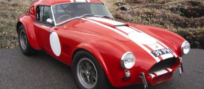 Le Mans Cobra 1963