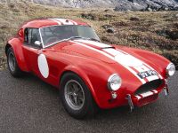 Le Mans Cobra 1963 (1963)