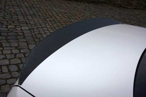 Leib BMW M3 GT 500 (2013) - picture 9 of 9