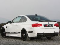 Leib BMW M3 GT 500