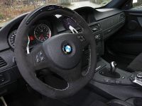 Leib BMW M3 GT 500