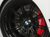 Leib BMW M3 GT 500 (2013) - picture 5 of 9