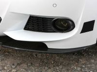 Leib Engineering BMW GT 300