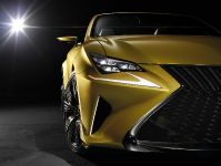 Lexus LF-C2 Concept Car (2014) - picture 4 of 9