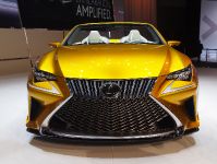 Lexus LF-C2 Los Angeles (2014) - picture 2 of 10